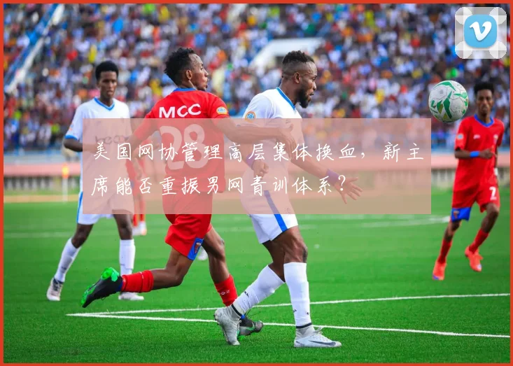 美国网协管理高层集体换血,新主席能否重振男网青训体系?
